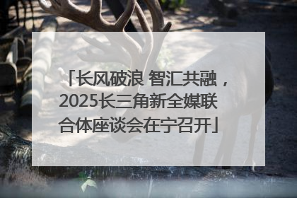 长风破浪 智汇共融，2025长三角新全媒联合体座谈会在宁召开
