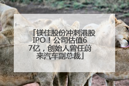 镁佳股份冲刺港股IPO！公司估值67亿，创始人曾任蔚来汽车副总裁