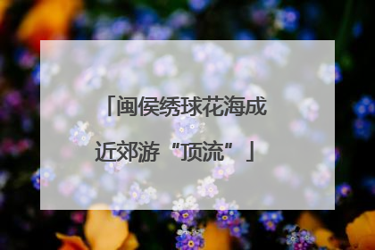 闽侯绣球花海成近郊游“顶流”