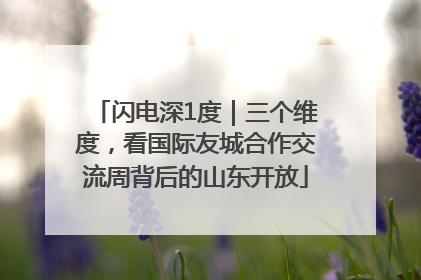 闪电深1度｜三个维度，看国际友城合作交流周背后的山东开放