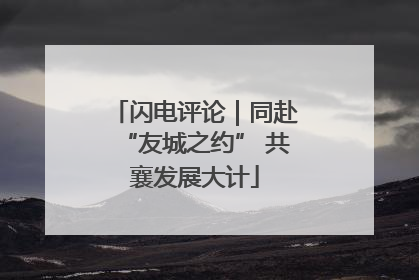 闪电评论｜同赴“友城之约” 共襄发展大计