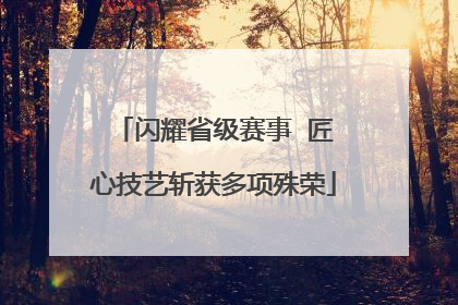 闪耀省级赛事  匠心技艺斩获多项殊荣