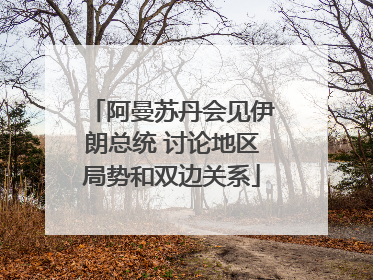 阿曼苏丹会见伊朗总统 讨论地区局势和双边关系