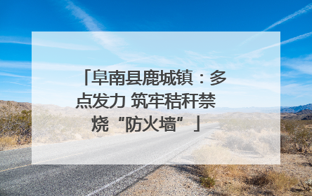 阜南县鹿城镇：多点发力 筑牢秸秆禁烧“防火墙”