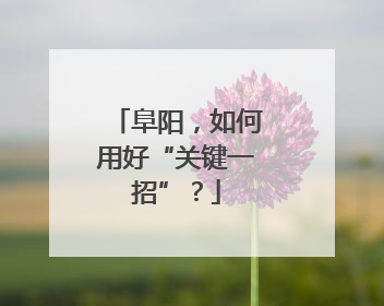 阜阳，如何用好“关键一招”？