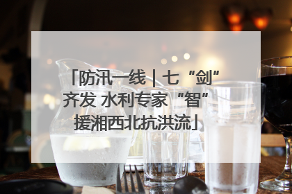 防汛一线｜七“剑”齐发 水利专家“智”援湘西北抗洪流