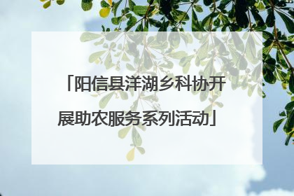 阳信县洋湖乡科协开展助农服务系列活动