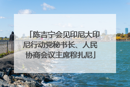 陈吉宁会见印尼大印尼行动党秘书长、人民协商会议主席穆扎尼
