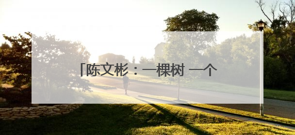 陈文彬：一棵树 一个庄 一块碑 一位英雄