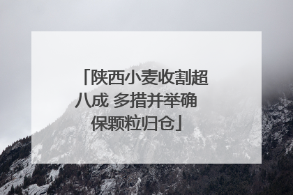 陕西小麦收割超八成 多措并举确保颗粒归仓