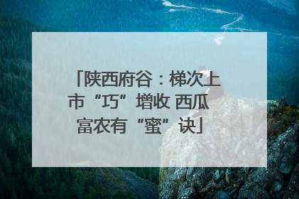 陕西府谷：梯次上市“巧”增收 西瓜富农有“蜜”诀