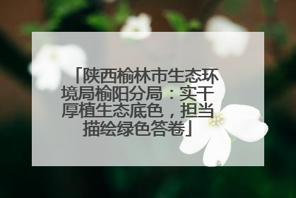 陕西榆林市生态环境局榆阳分局：实干厚植生态底色，担当描绘绿色答卷