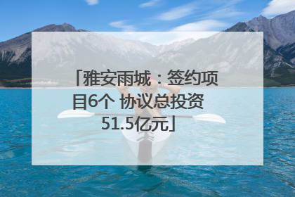 雅安雨城：签约项目6个 协议总投资51.5亿元
