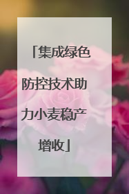 集成绿色防控技术助力小麦稳产增收