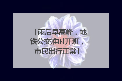 雨后早高峰，地铁公交准时开班，市民出行正常