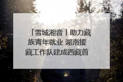 雪域湘音丨助力藏族青年就业 湖南援藏工作队建成西藏首个清洁能源装备园