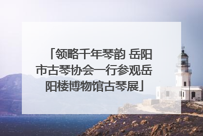 领略千年琴韵 岳阳市古琴协会一行参观岳阳楼博物馆古琴展