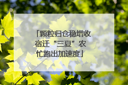 颗粒归仓稳增收 宿迁“三夏”农忙跑出加速度