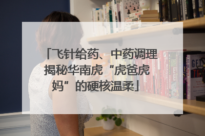 飞针给药、中药调理 揭秘华南虎“虎爸虎妈”的硬核温柔