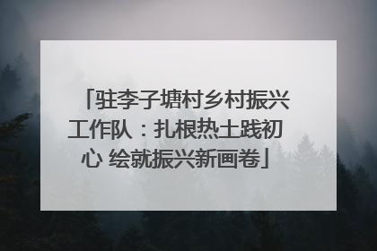 驻李子塘村乡村振兴工作队：扎根热土践初心 绘就振兴新画卷