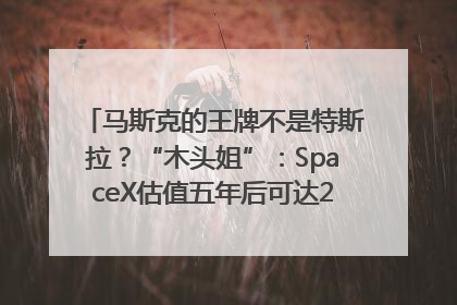 马斯克的王牌不是特斯拉？“木头姐”：SpaceX估值五年后可达2.5万亿美元！