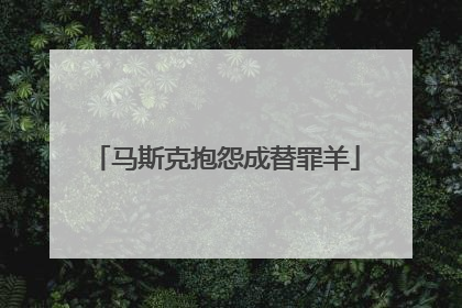 马斯克抱怨成替罪羊