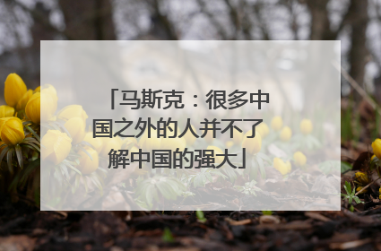 马斯克：很多中国之外的人并不了解中国的强大