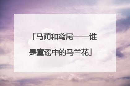 马蔺和鸢尾——谁是童谣中的马兰花