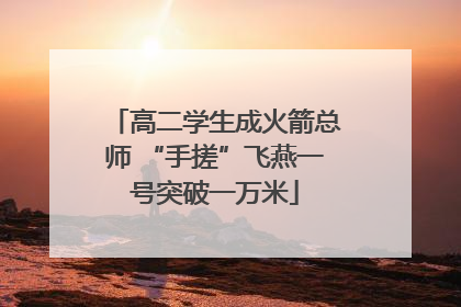 高二学生成火箭总师 “手搓”飞燕一号突破一万米