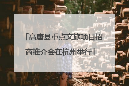 高唐县重点文旅项目招商推介会在杭州举行