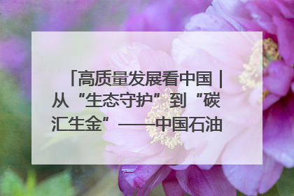 高质量发展看中国｜从“生态守护”到“碳汇生金”——中国石油大庆油田绿色蝶变