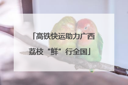 高铁快运助力广西荔枝“鲜”行全国