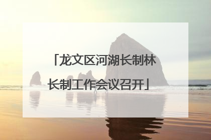 龙文区河湖长制林长制工作会议召开