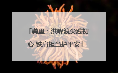龚里：洪峰浪尖践初心 铁肩担当护平安