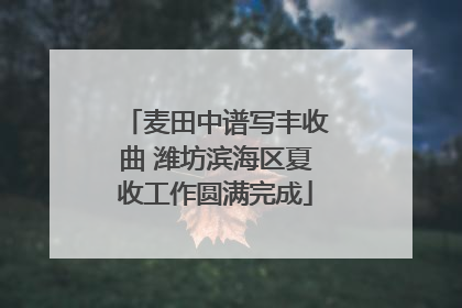 麦田中谱写丰收曲 潍坊滨海区夏收工作圆满完成