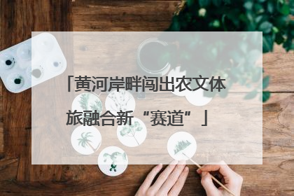 黄河岸畔闯出农文体旅融合新“赛道”