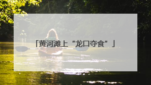 黄河滩上“龙口夺食”