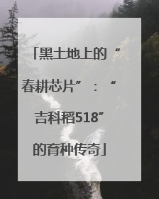 黑土地上的“春耕芯片”：“吉科稻518”的育种传奇