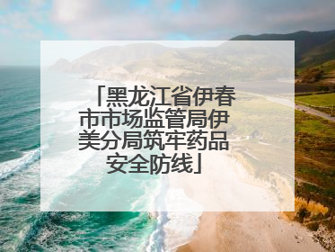 黑龙江省伊春市市场监管局伊美分局筑牢药品安全防线