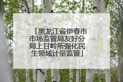 黑龙江省伊春市市场监管局友好分局上甘岭所强化民生领域计量监管