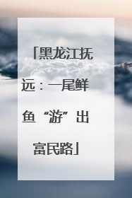 黑龙江抚远：一尾鲜鱼“游”出富民路
