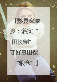黟县宏潭乡：落实“田长制” 守好良田保“粮仓”