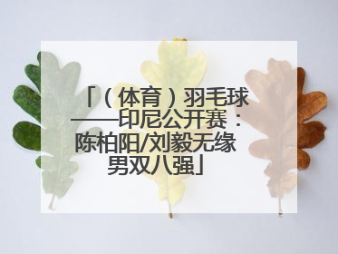 （体育）羽毛球——印尼公开赛：陈柏阳/刘毅无缘男双八强