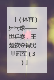 （体育）乒乓球——世乒赛：王楚钦夺得男单冠军（3）