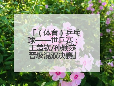 （体育）乒乓球——世乒赛：王楚钦/孙颖莎晋级混双决赛
