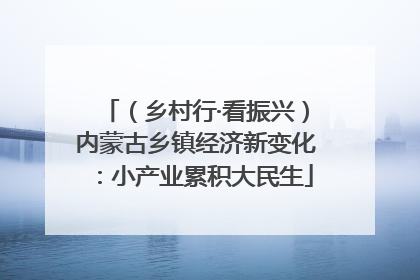 （乡村行·看振兴）内蒙古乡镇经济新变化：小产业累积大民生