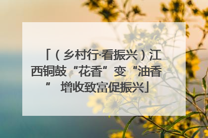 （乡村行·看振兴）江西铜鼓“花香”变“油香” 增收致富促振兴