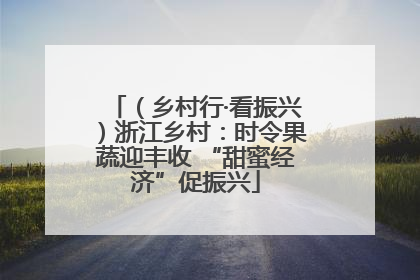（乡村行·看振兴）浙江乡村：时令果蔬迎丰收 “甜蜜经济”促振兴