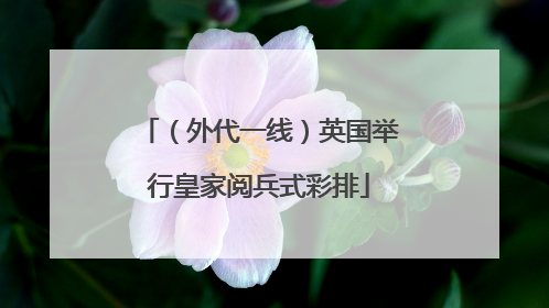 （外代一线）英国举行皇家阅兵式彩排
