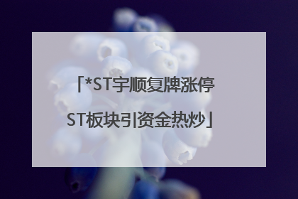 *ST宇顺复牌涨停 ST板块引资金热炒